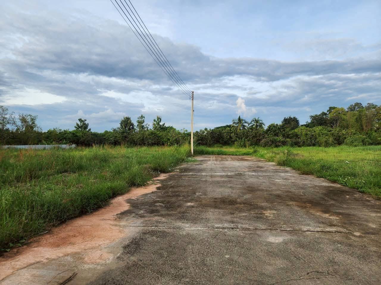 🔥 ที่ดินแปลงใหญ่ ทำเลสารภี พร้อมสร้างทันที! รูป 7